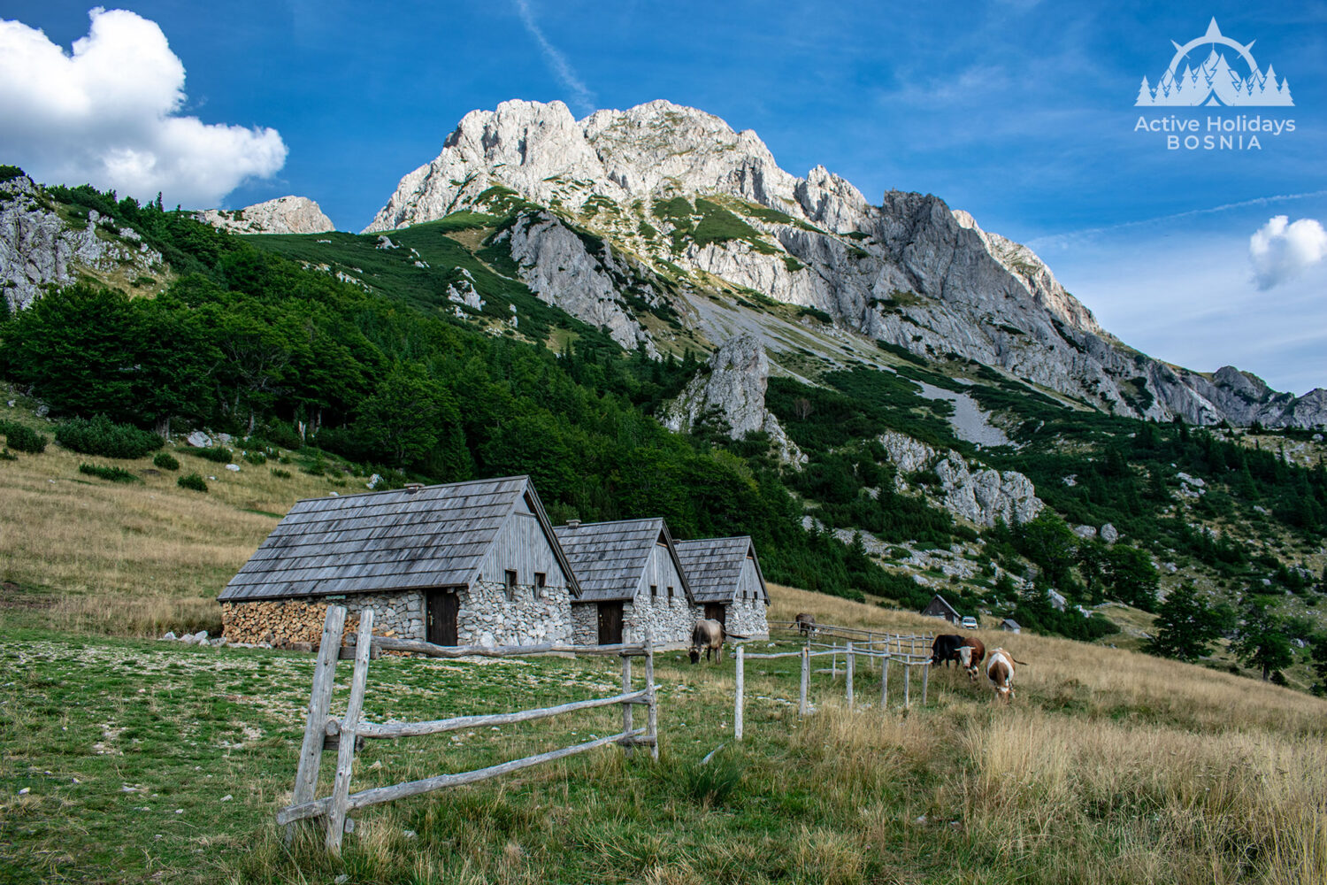 Plateu Prijevor Sutjeska national park